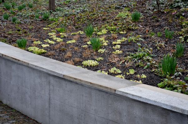 Cost of Concrete Wall Construction in Joliet